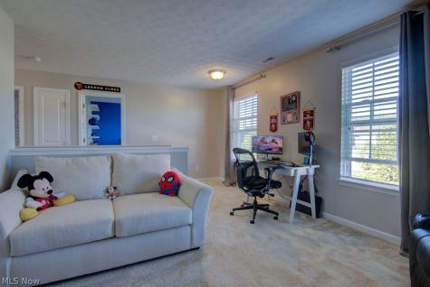 10399 Fox Hollow Circle Twinsburg OH 44087