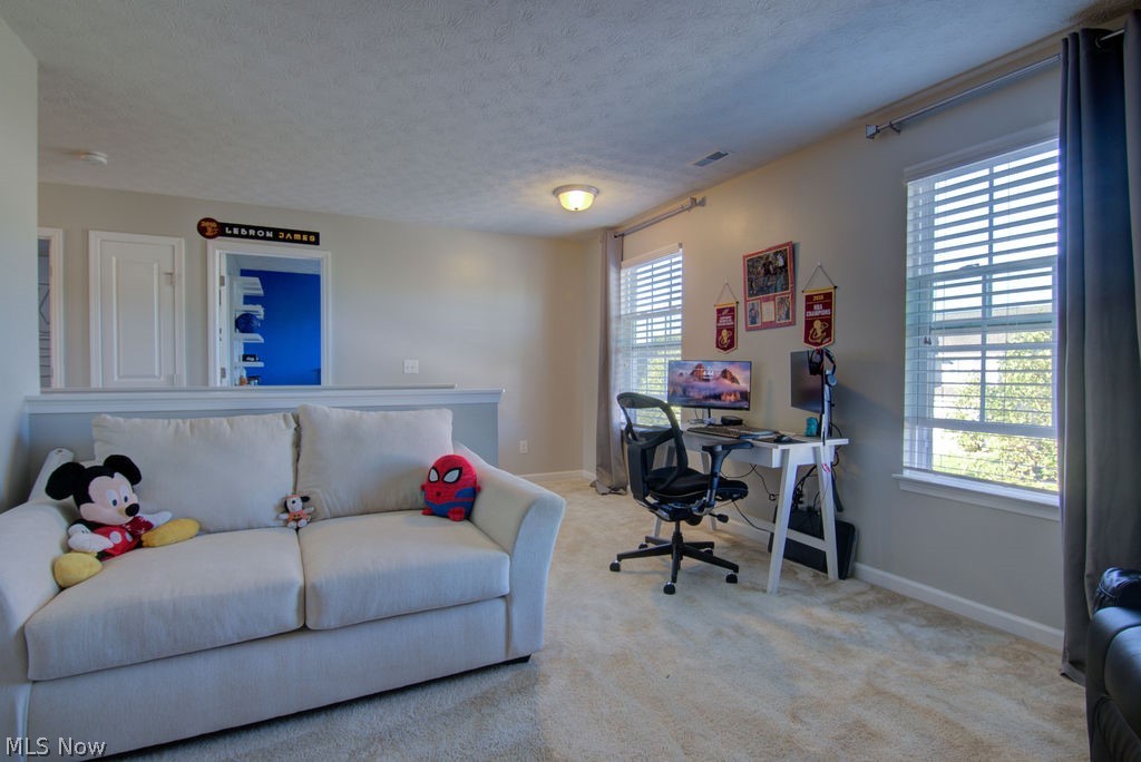10399 Fox Hollow Circle Twinsburg OH 44087
