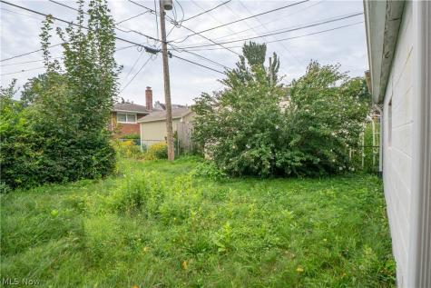246 E Ralston Avenue Akron OH 44301