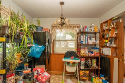 246 E Ralston Avenue Akron OH 44301
