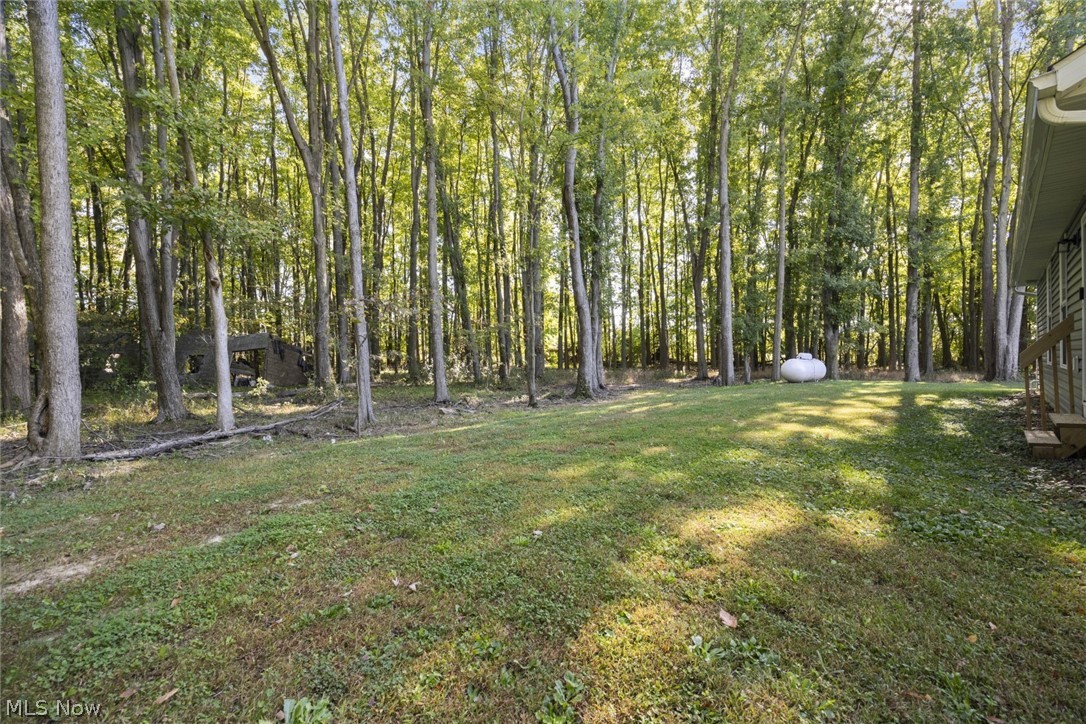 41840 Whitney Road Lagrange OH 44050
