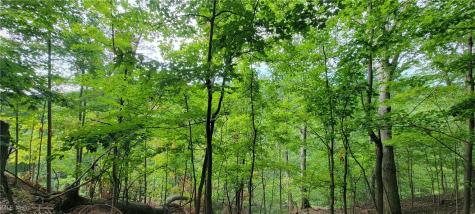 22601 Harms Road Euclid OH 44143