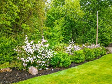 505 Netherwood Avenue NW Canton OH 44708