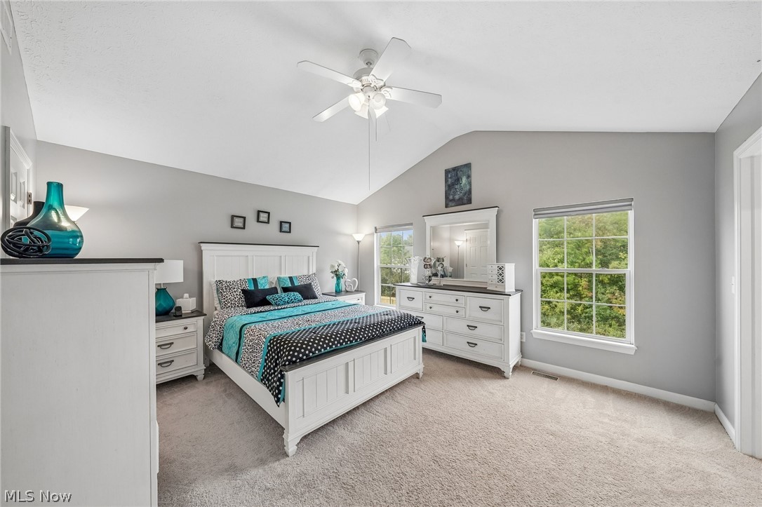 7680 Woodpath Drive Hudson OH 44236