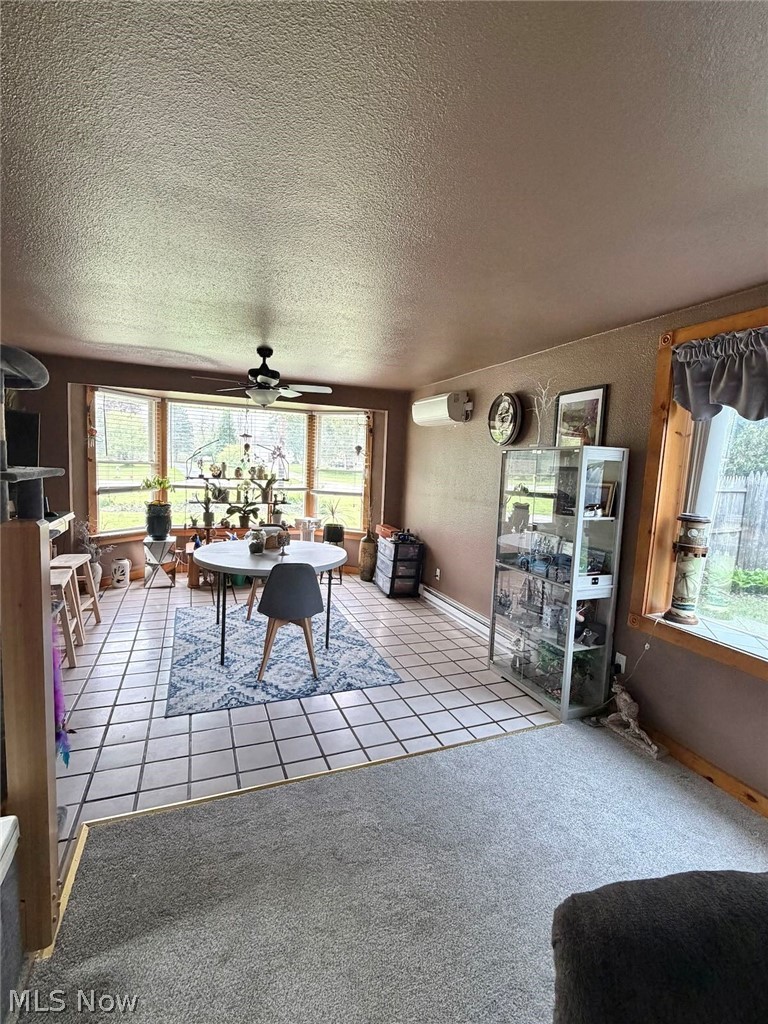 4173 S Ridge Road E Geneva OH 44041