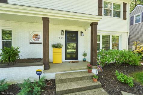 399 Mineola Avenue Akron OH 44313