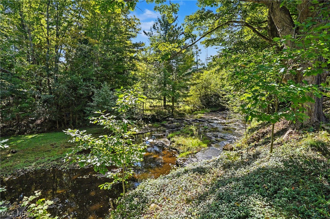 10616 Pekin Road Newbury OH 44065