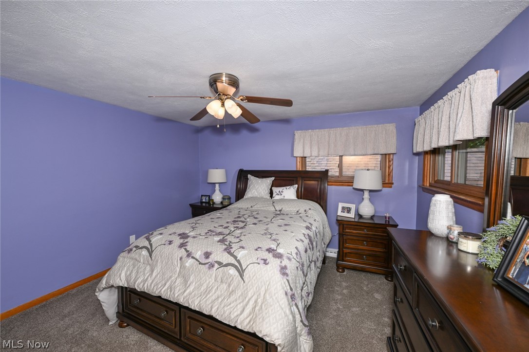 10953 Ambler Lane Mantua OH 44255