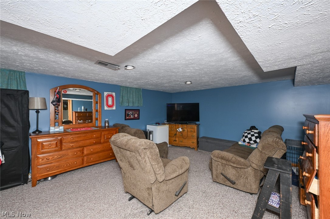 10953 Ambler Lane Mantua OH 44255