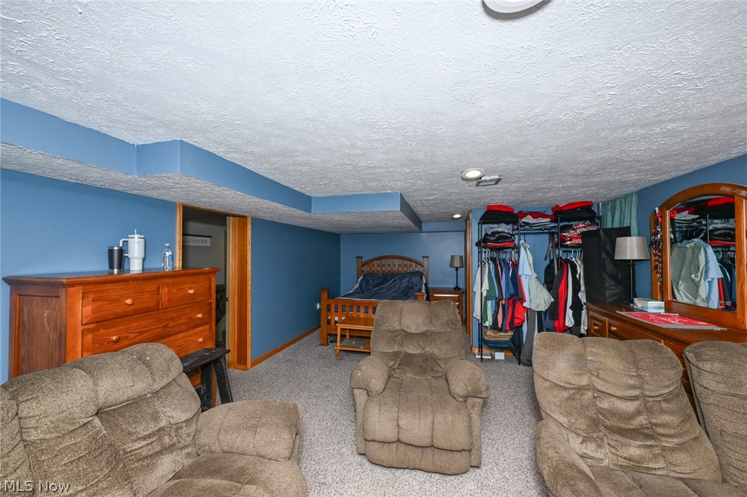 10953 Ambler Lane Mantua OH 44255
