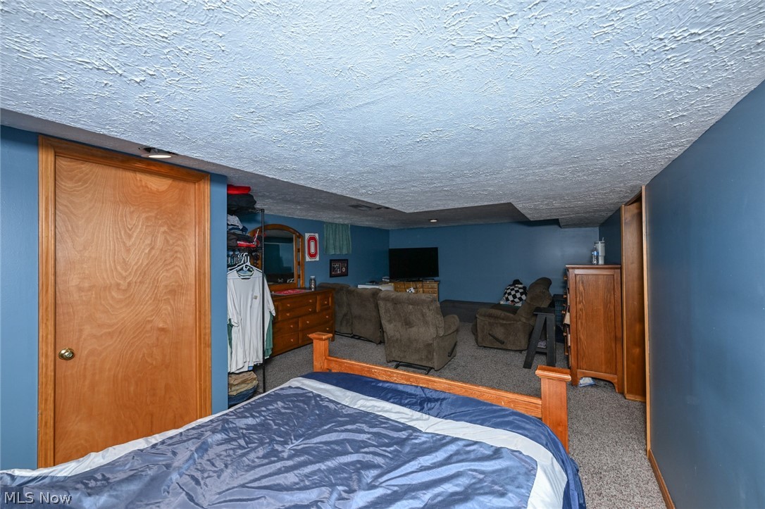 10953 Ambler Lane Mantua OH 44255