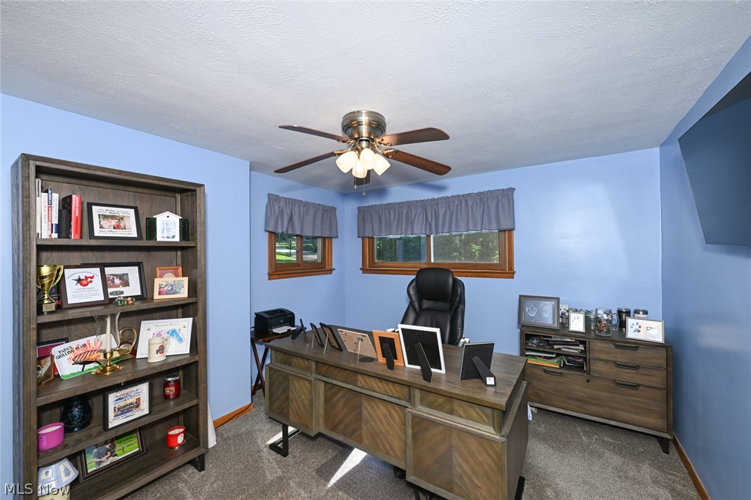 10953 Ambler Lane Mantua OH 44255