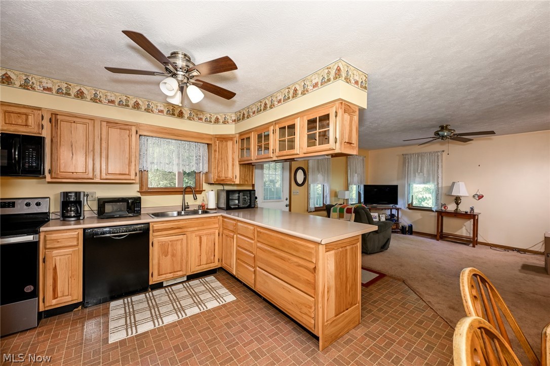 10953 Ambler Lane Mantua OH 44255
