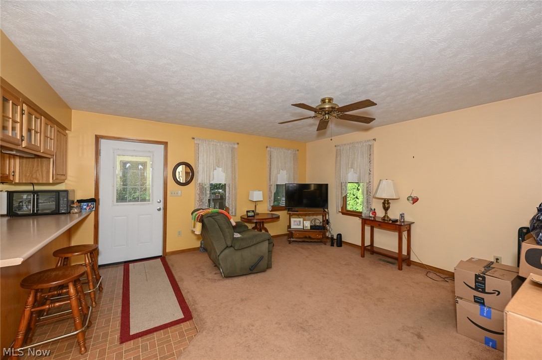 10953 Ambler Lane Mantua OH 44255