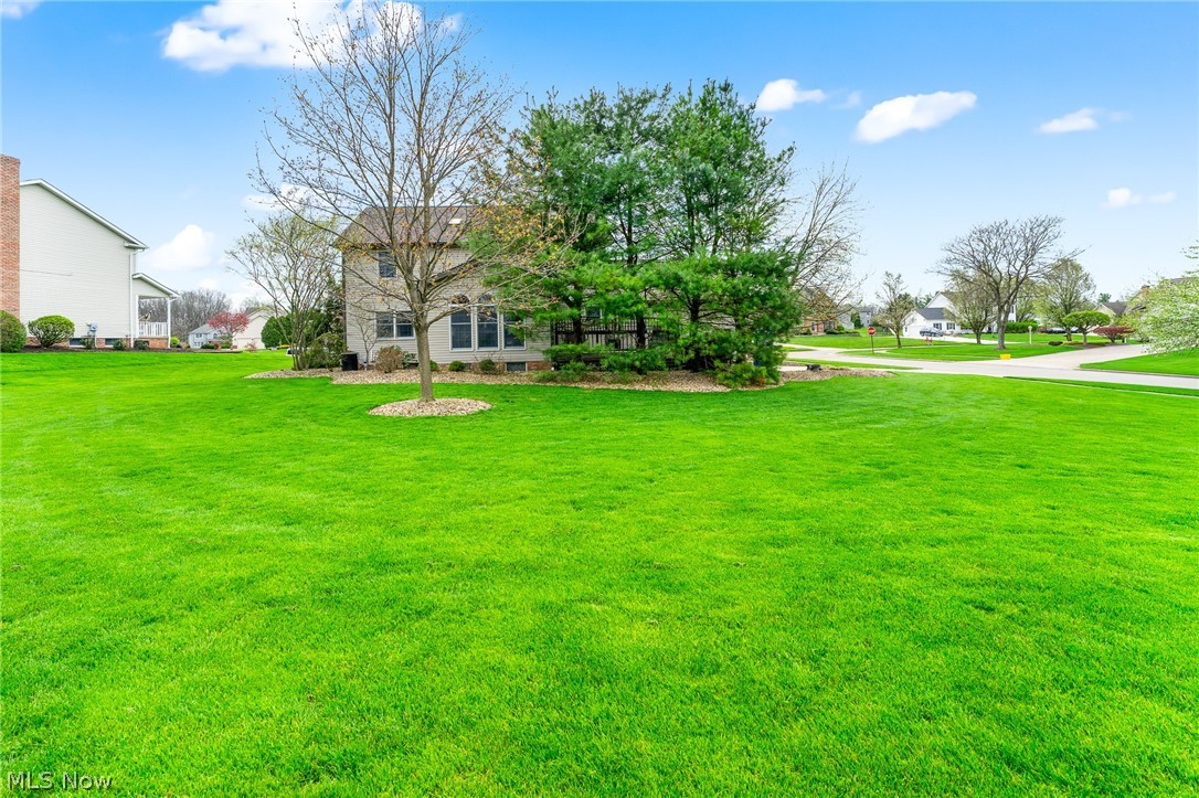 98 Jade Circle Canfield OH 44406