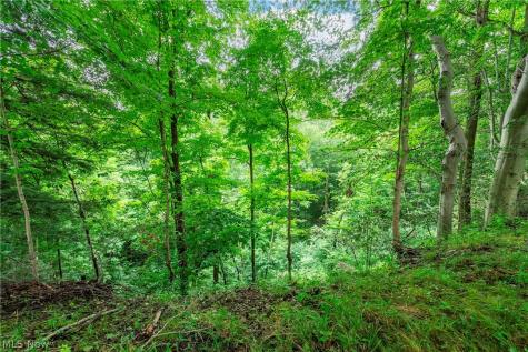 15038 Alexander Road Walton Hills OH 44146