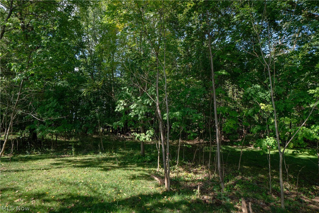 97 Nottingham Street Tallmadge OH 44278