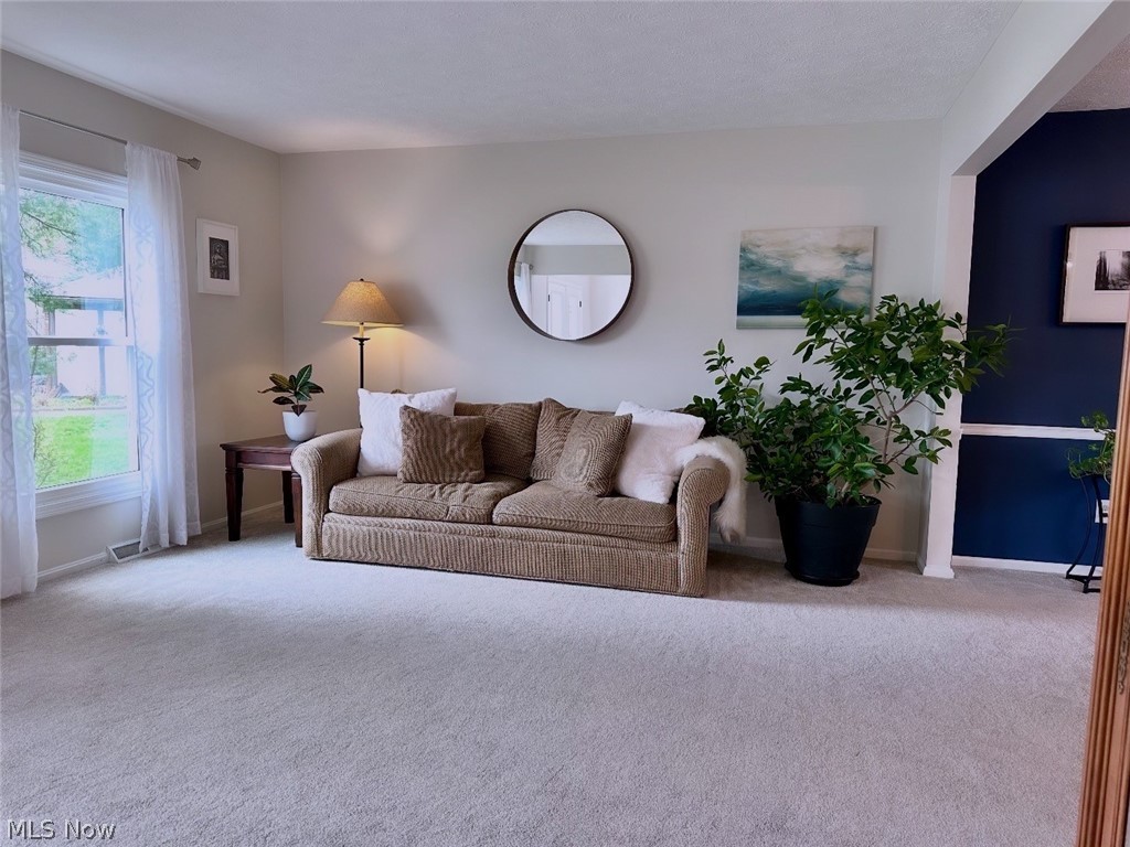 28402 Farrs Garden Path Westlake OH 44145