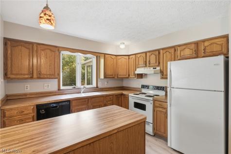 36185 Butternut Ridge North Ridgeville OH 44039