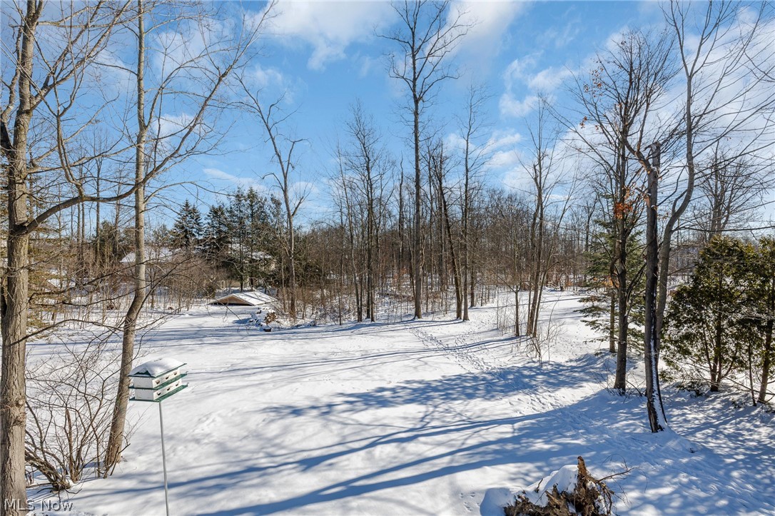 19443 Rye Gate Drive North Royalton OH 44133