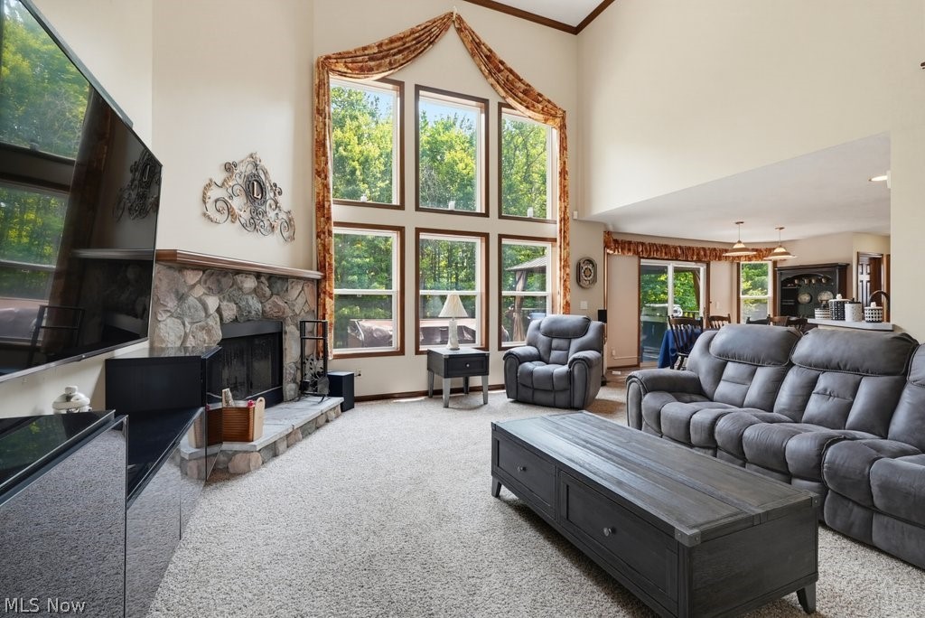 10313 Dayflower Drive Twinsburg OH 44087