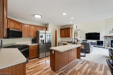 10313 Dayflower Drive Twinsburg OH 44087