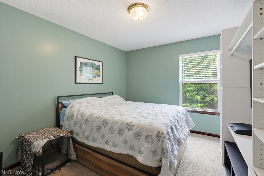 10313 Dayflower Drive Twinsburg OH 44087