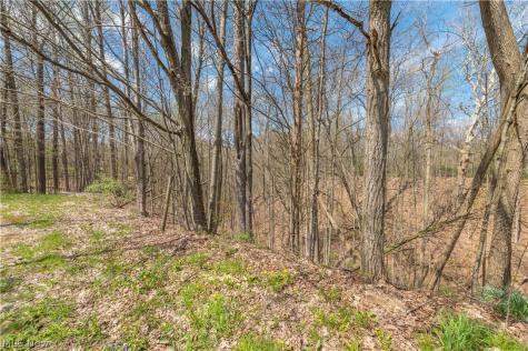 5226 State Route 60 Wakeman OH 44889