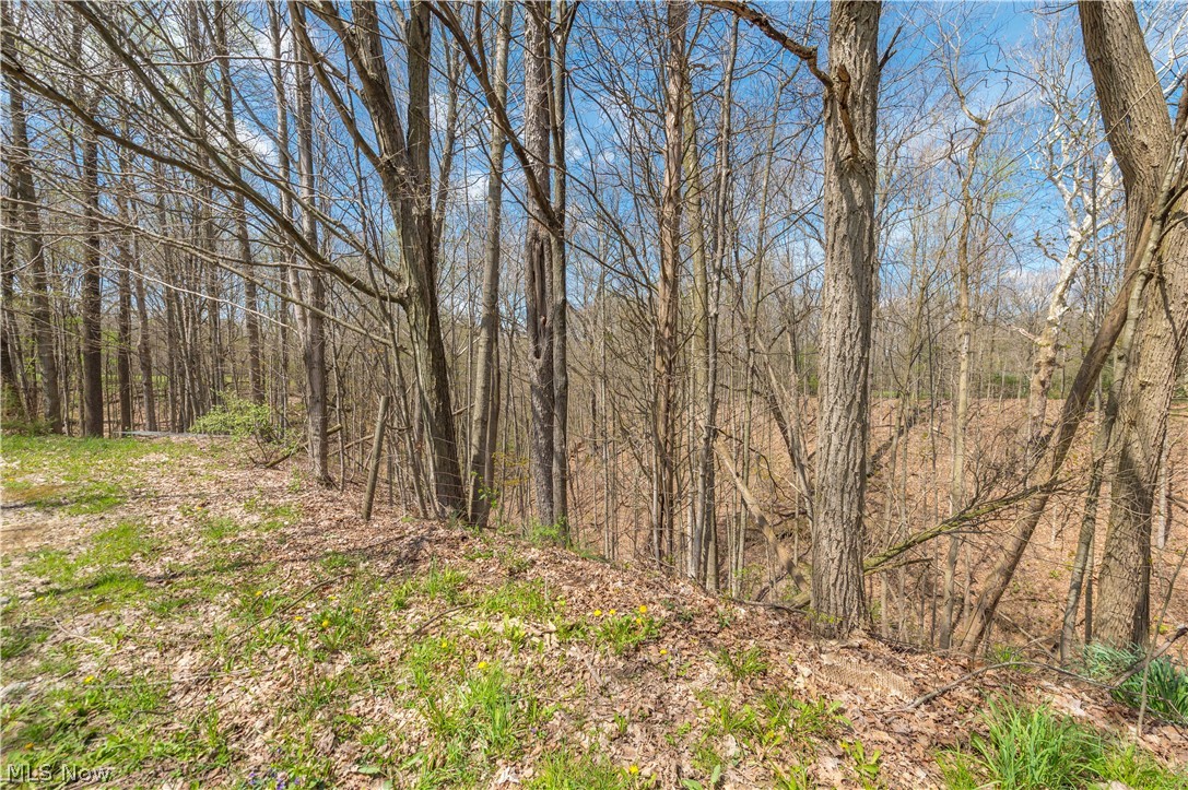 5226 State Route 60 Wakeman OH 44889