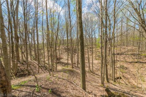 5226 State Route 60 Wakeman OH 44889
