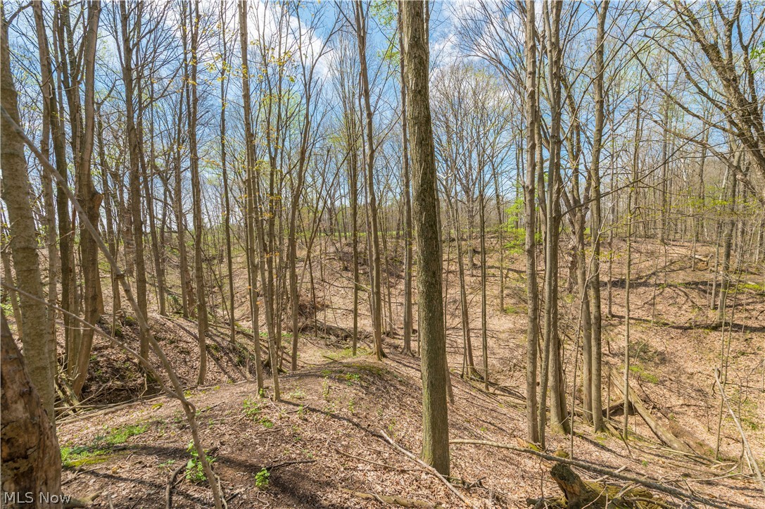 5226 State Route 60 Wakeman OH 44889