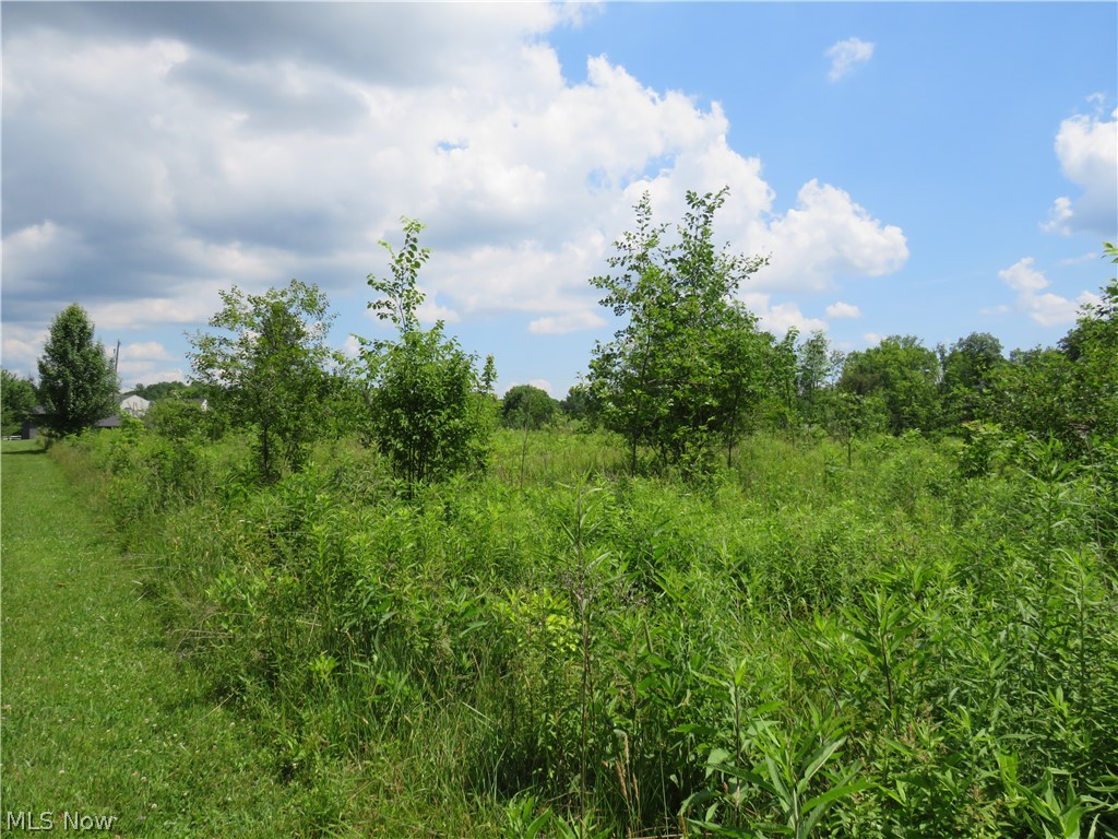 8667 State Route 43 Streetsboro OH 44241