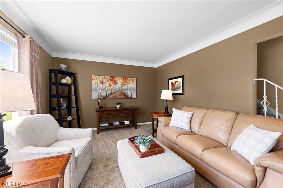 1244 W Miner Road Mayfield Heights OH 44124