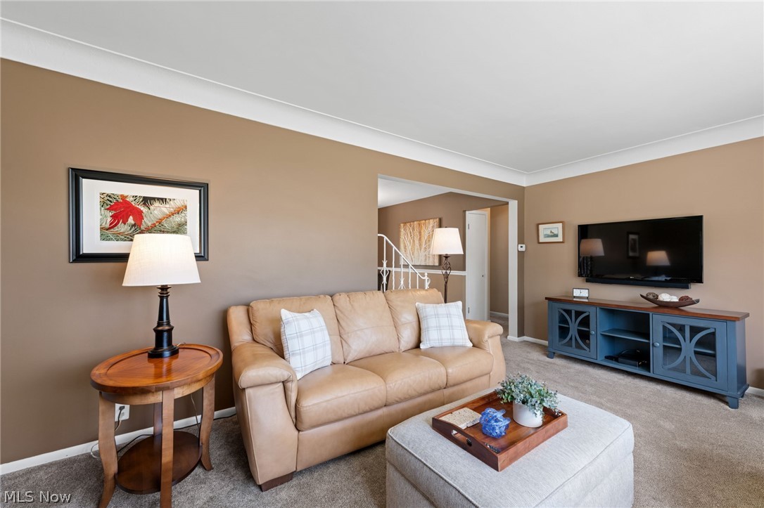 1244 W Miner Road Mayfield Heights OH 44124