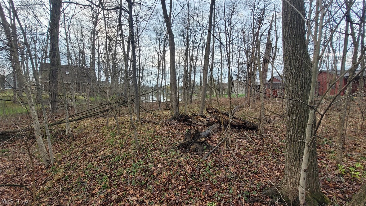 5034 Maderia Drive West Salem OH 44287