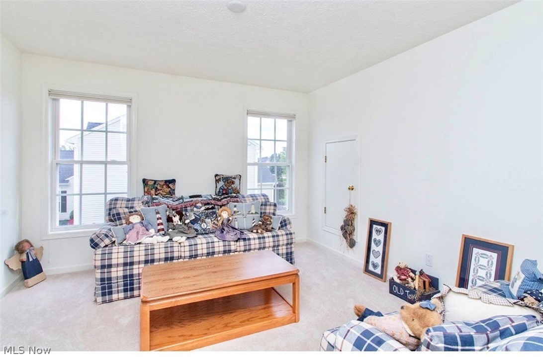 6490 Shale Court Medina OH 44256