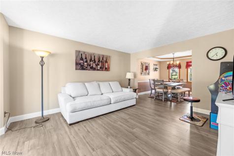 4206 Arlington Drive Brunswick OH 44212