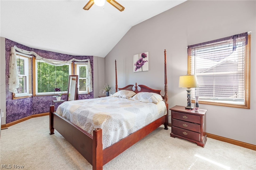 4206 Arlington Drive Brunswick OH 44212