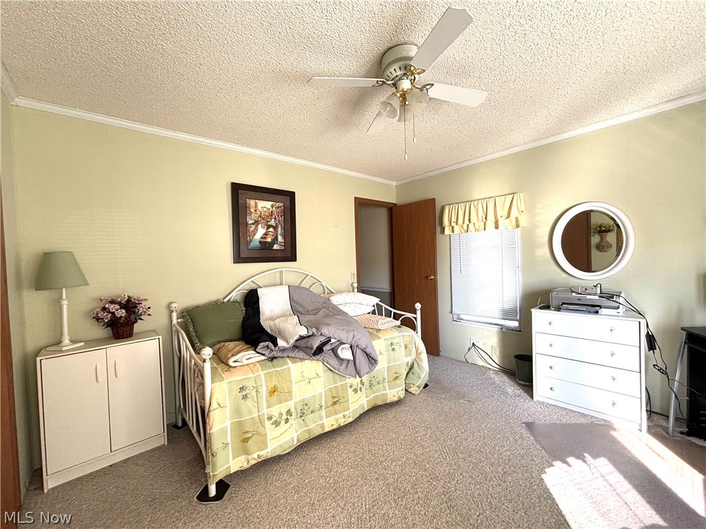1229 Columbiana Lisbon Road Columbiana OH 44408