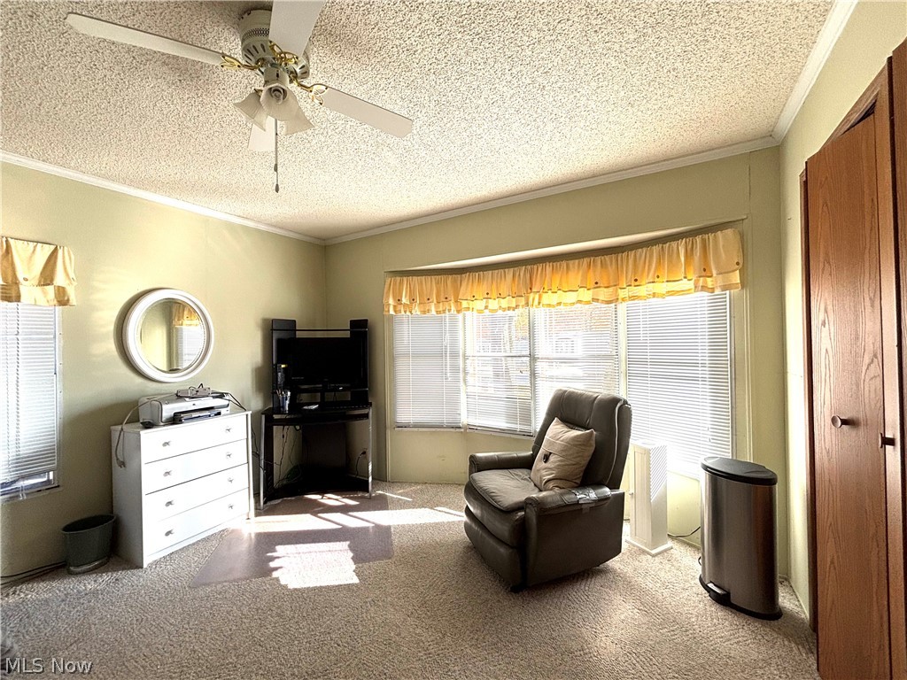 1229 Columbiana Lisbon Road Columbiana OH 44408