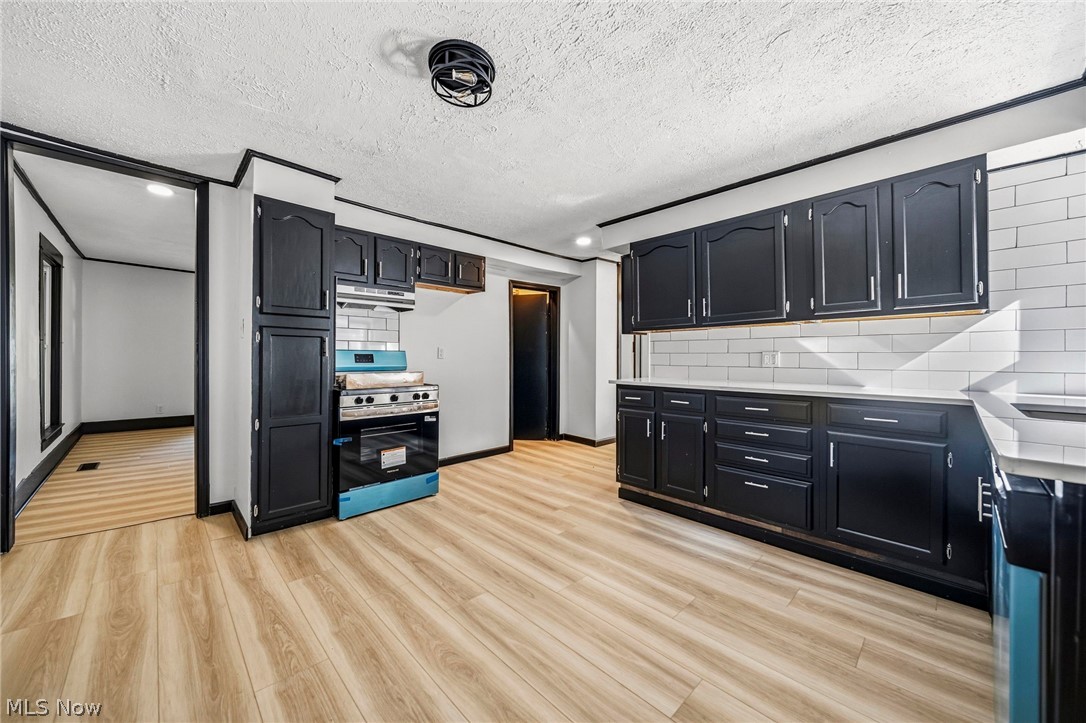 3599 Center Road Perry OH 44081