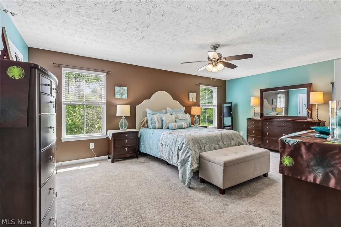 3909 Willow Way Kent OH 44240