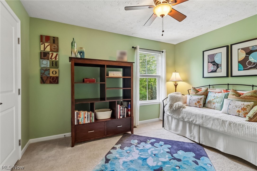 3909 Willow Way Kent OH 44240