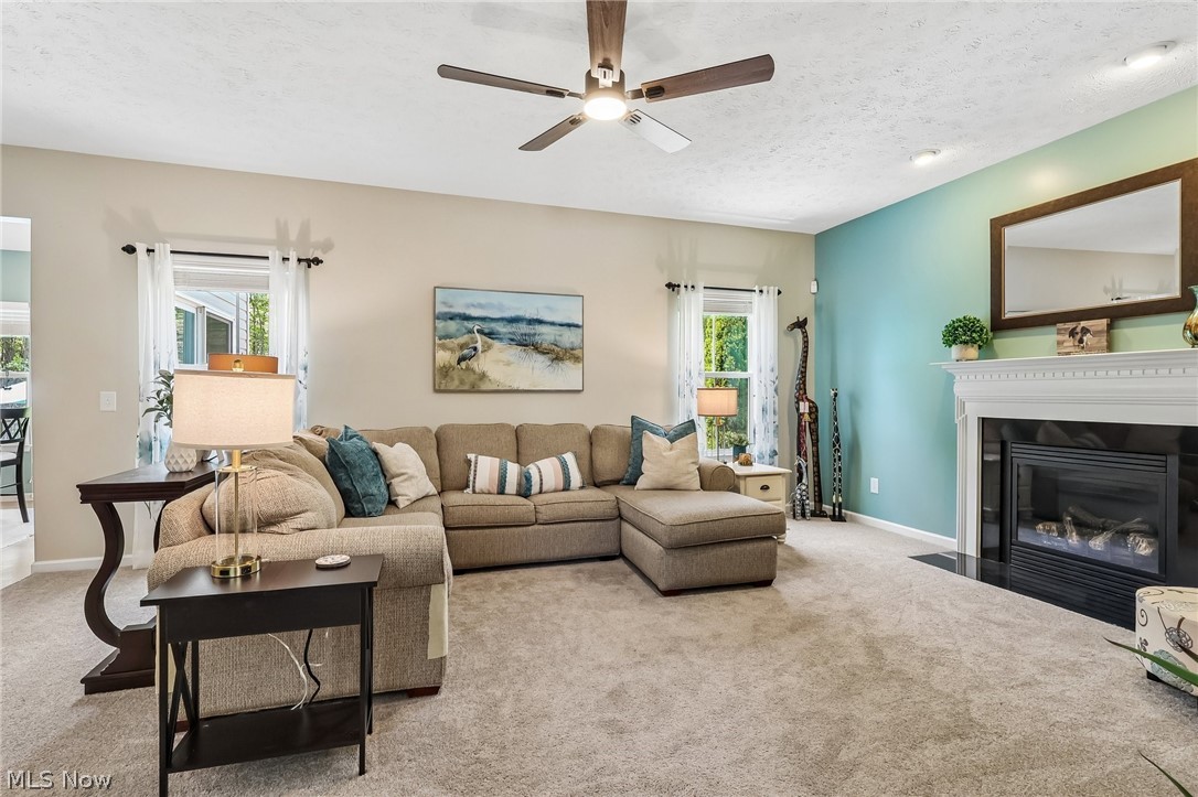 3909 Willow Way Kent OH 44240