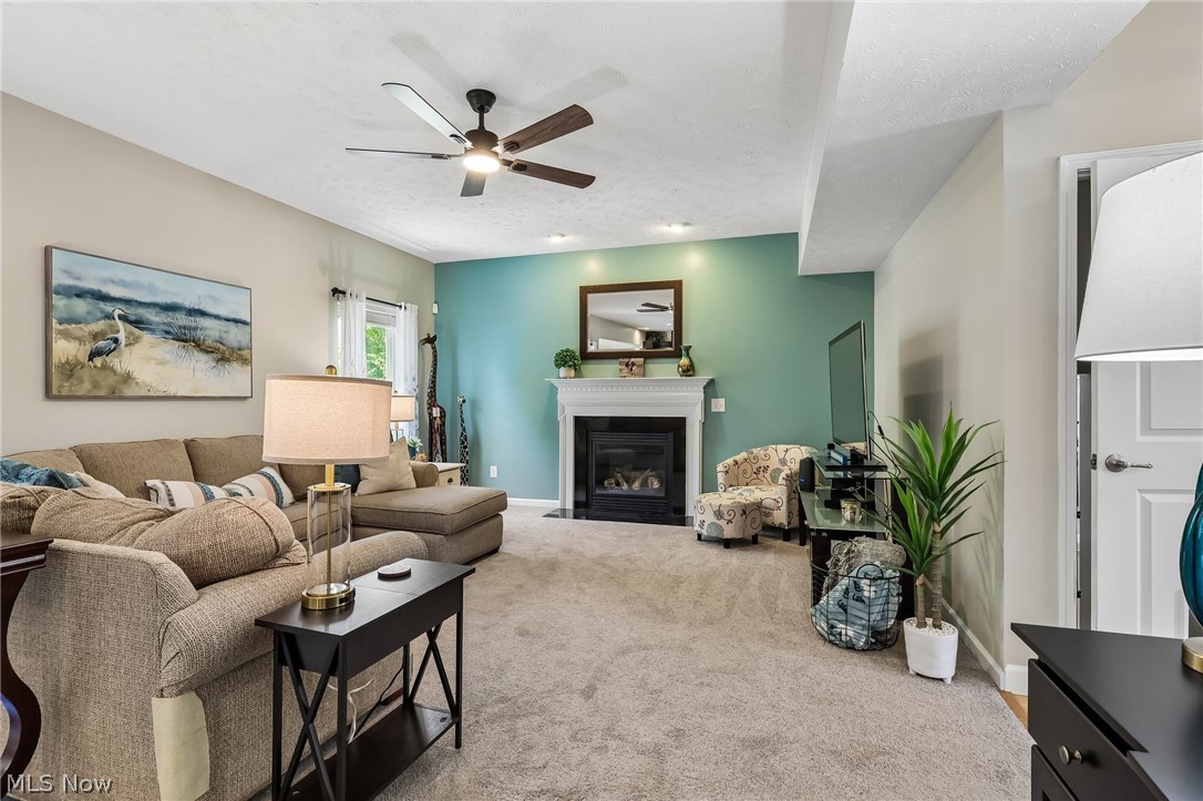 3909 Willow Way Kent OH 44240