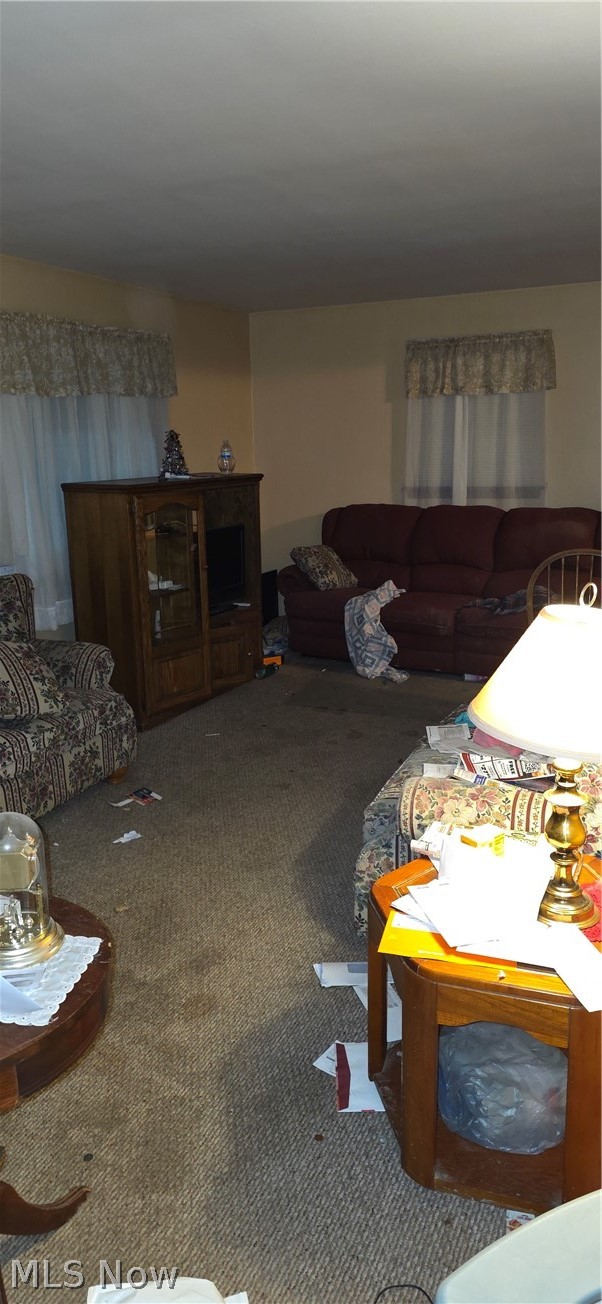 542 N Dunlap Avenue Youngstown OH 44509