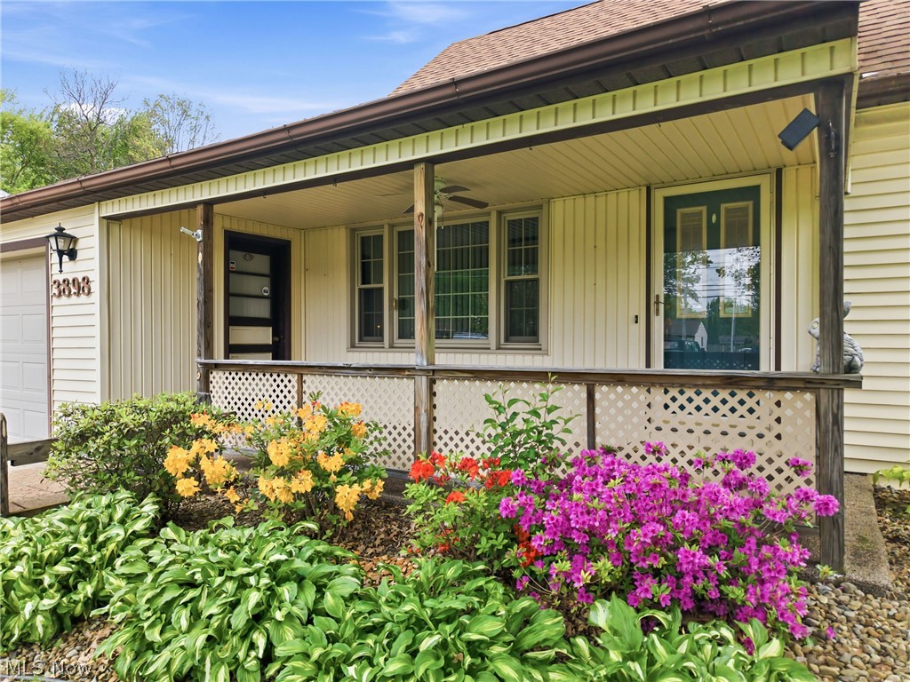 3898 New Road Austintown OH 44515