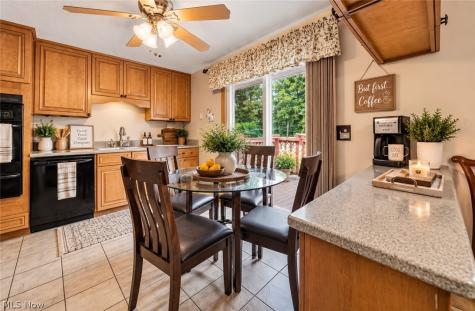8071 Meadowdale Drive Mentor OH 44060