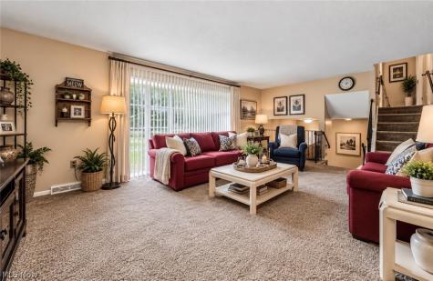 8071 Meadowdale Drive Mentor OH 44060