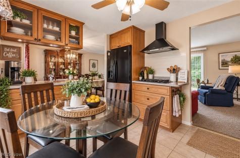 8071 Meadowdale Drive Mentor OH 44060